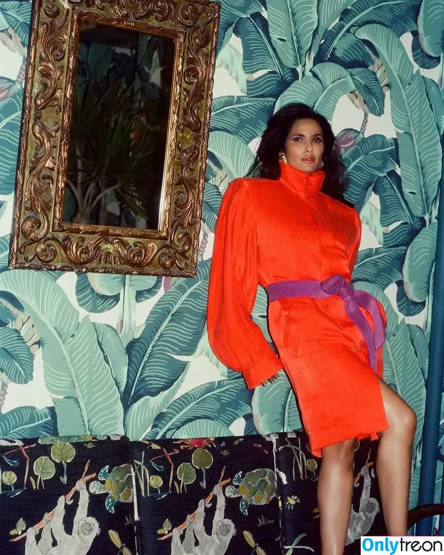 Padma Lakshmi голая photo #0497 (PadmaLakshmi)