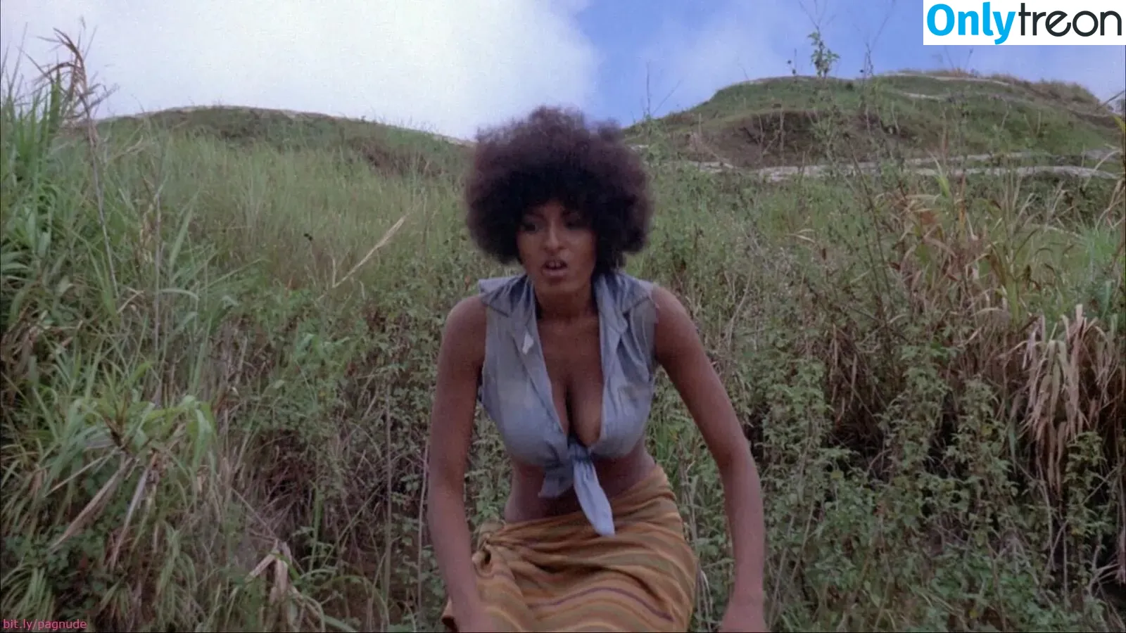 Pam Grier голая photo #0026 (fayejackson419 / pamrier)