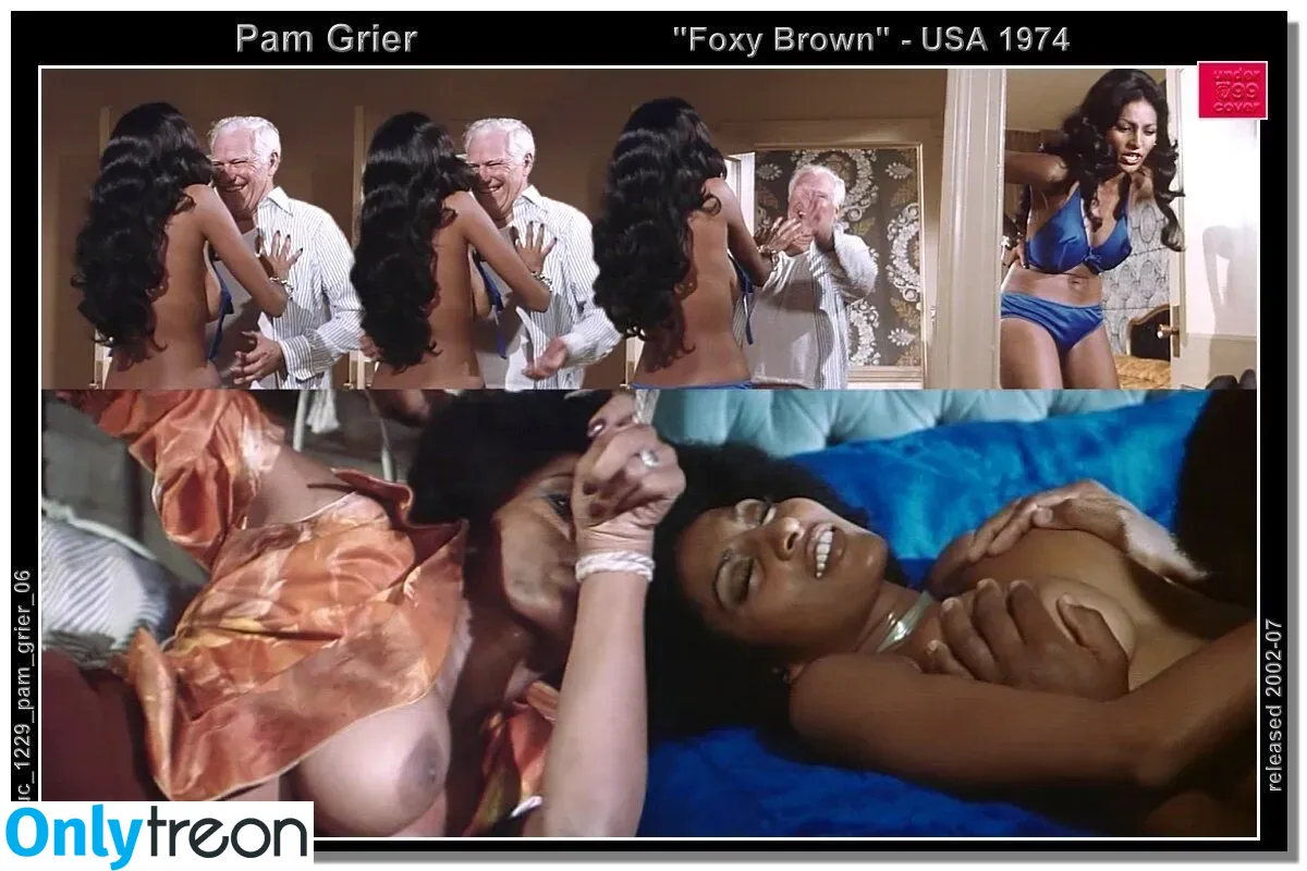 Pam Grier nude photo #0089 (fayejackson419 / pamrier)