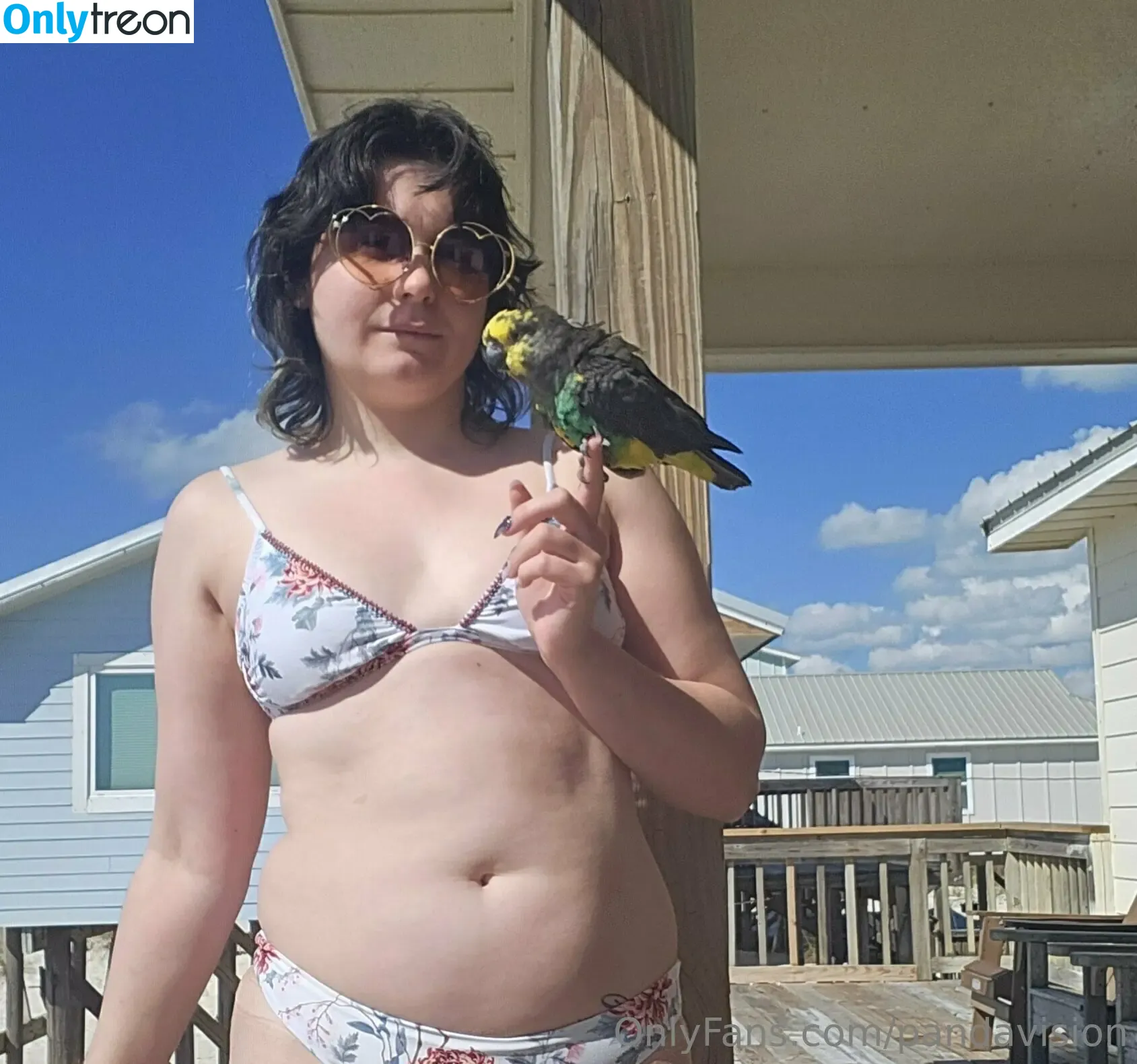 pandavision nude photo #0117 (pandavision)