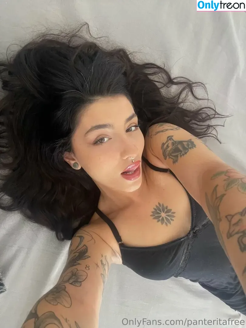 panteritafree nude photo #0079 (panteritafree)