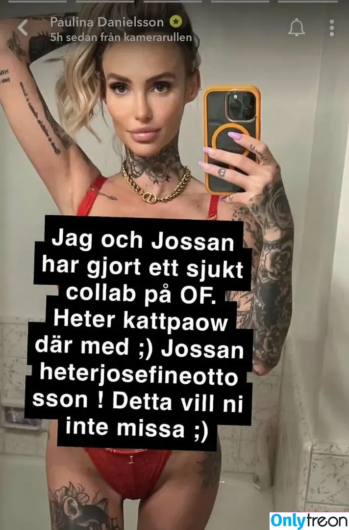 Paulina Danielsson nude photo #0031 (Kattpaow)