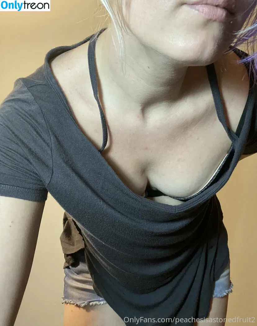 peachesisastonedfruit2 nude photo #0051 (peachesfuck_me)