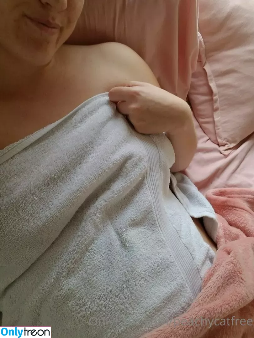peachycatfree nude photo #0003 (thefreepeach)