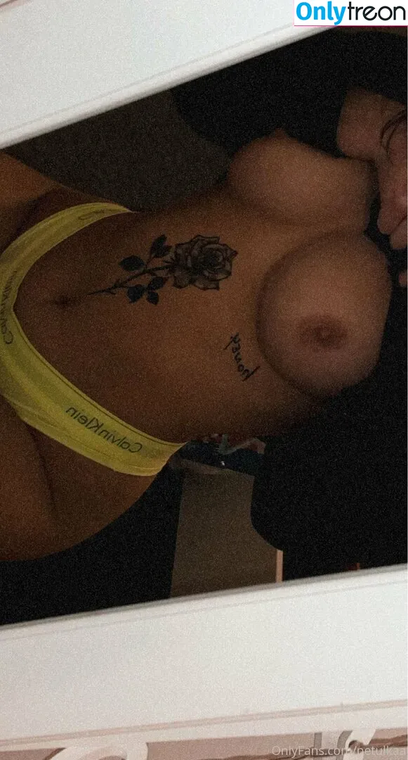 petulkaa nude photo #0014 (petulkaa.hl)