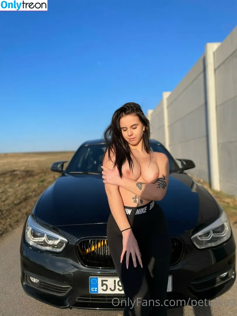 petulkaa nude photo #0183 (petulkaa.hl)
