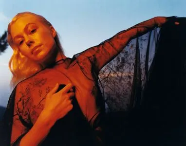 Phoebe Bridgers / phoebebridgers / somethingxsafe фото голая #0028