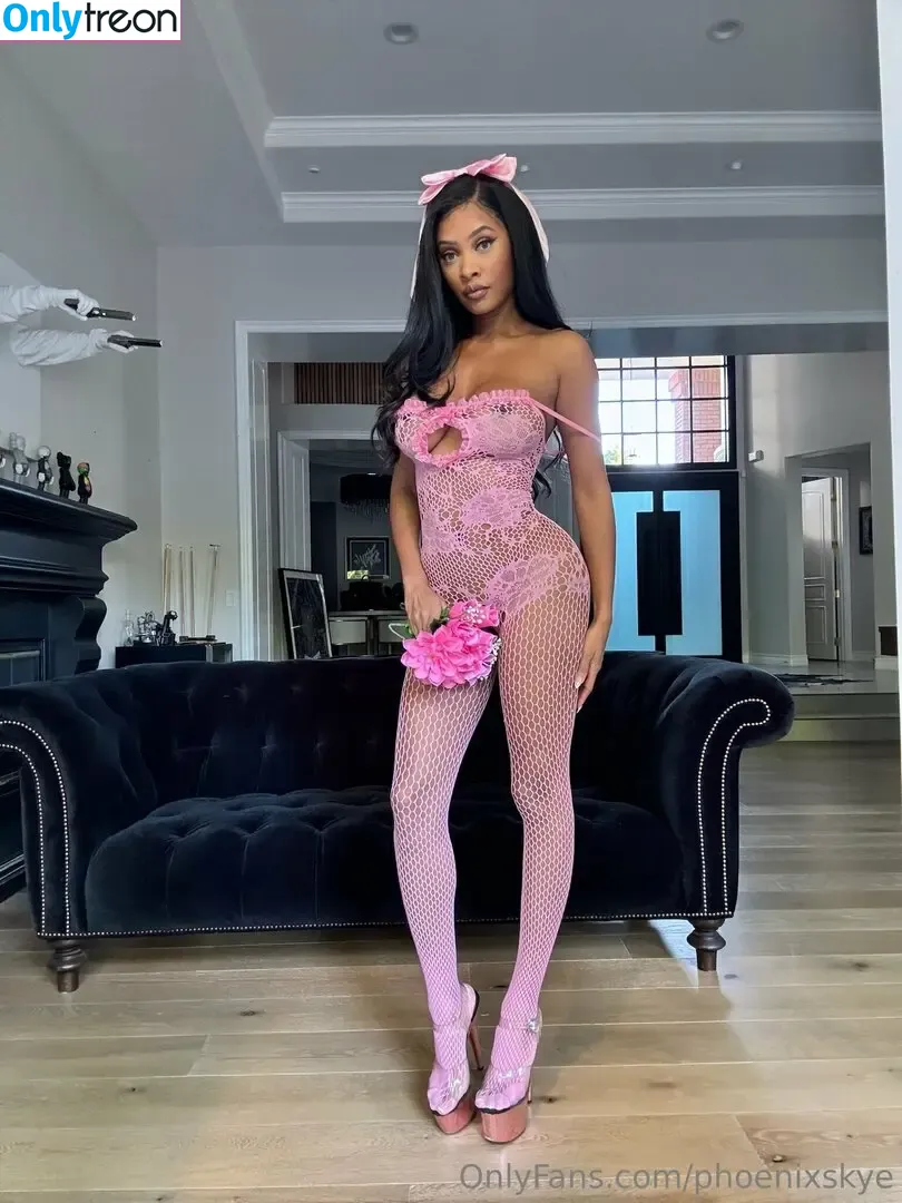 phoenixskye nude photo #0425 (_imdarkphoenix_)