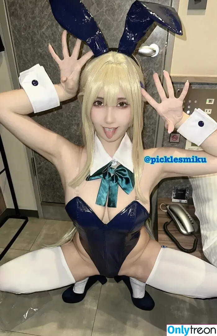 picklesmiku nude photo #0001 (picklesmiku)