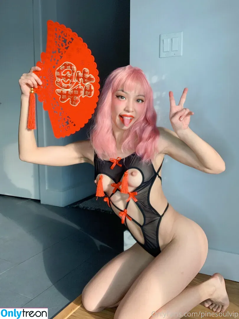 pinesoulvip nude photo #0066 (vipori)