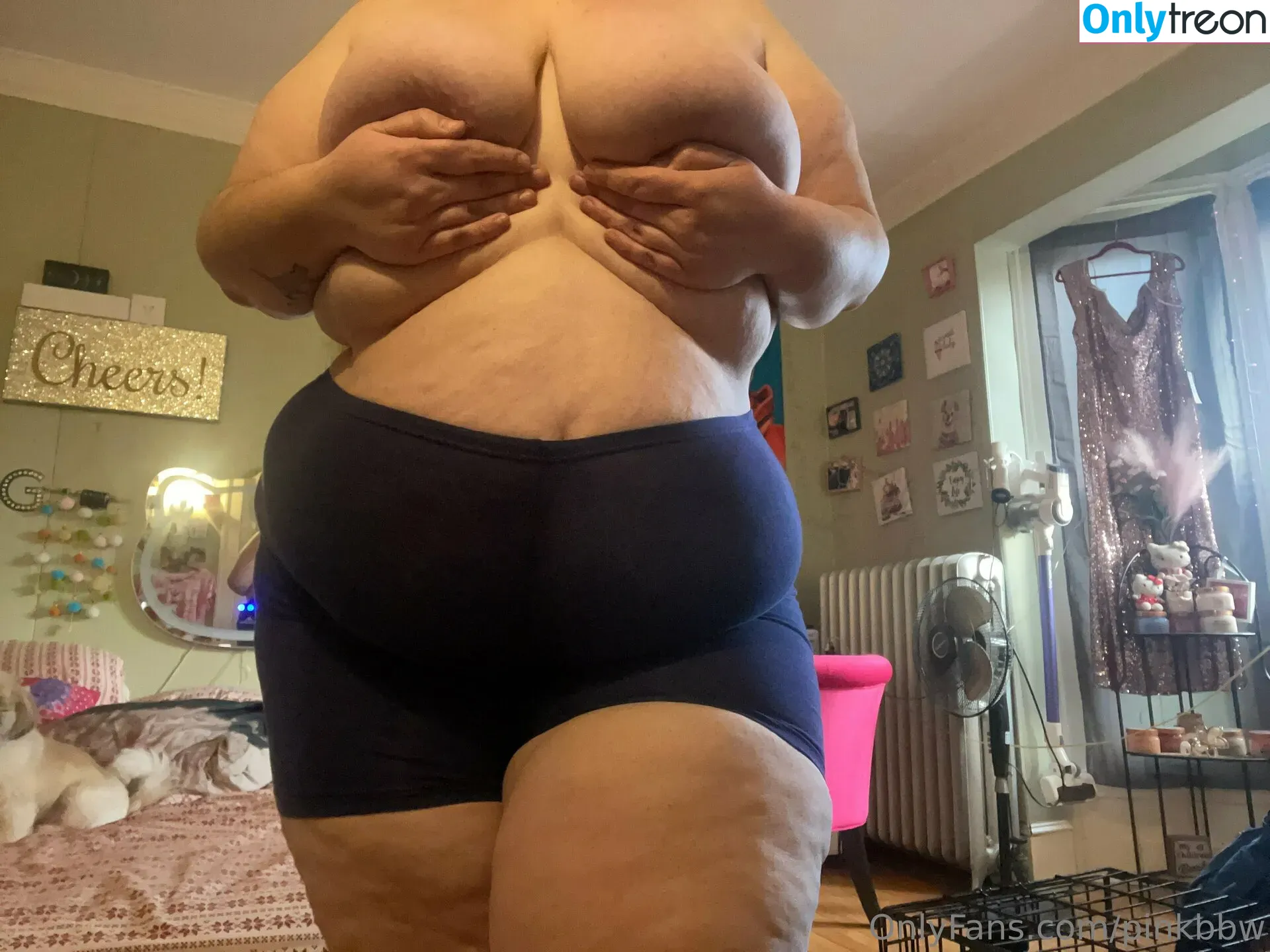 pinkbbw nude photo #0007 (pinkbbw)