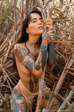 pitmagrinfree / pitmagrin nude photo #0013
