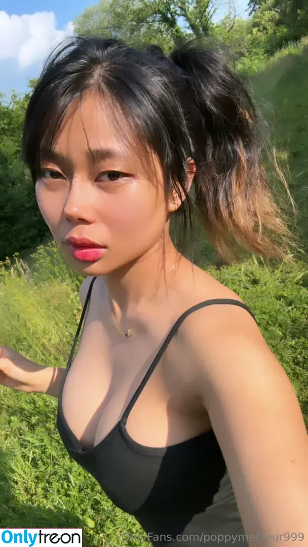 poppymeilleur999 nude photo #0017 (poppymeilleur)