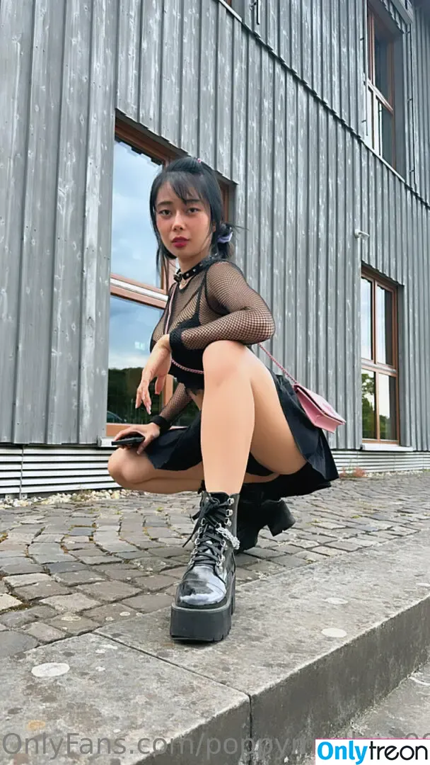 poppymeilleur999 nude photo #0032 (poppymeilleur)