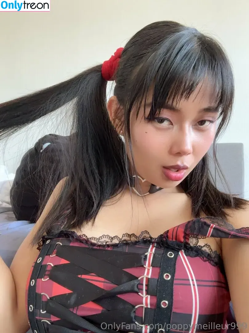 poppymeilleur999 nude photo #0060 (poppymeilleur)