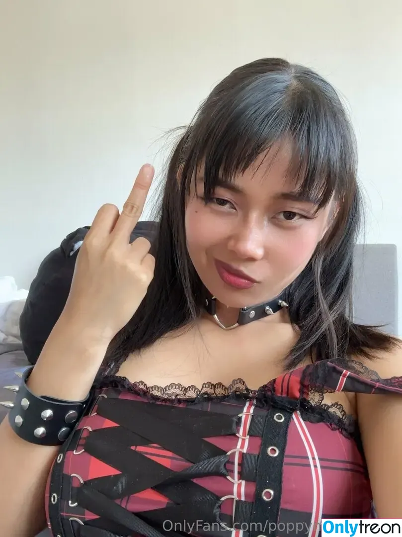 poppymeilleur999 nude photo #0061 (poppymeilleur)