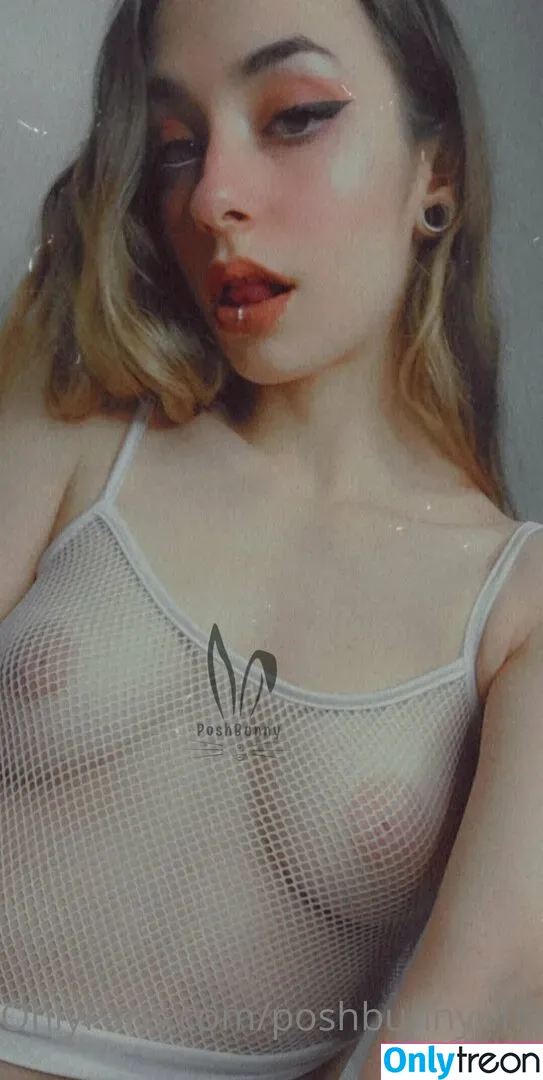 poshbunnyofficial_free голая photo #0024 (poshbunnyofficial_free)