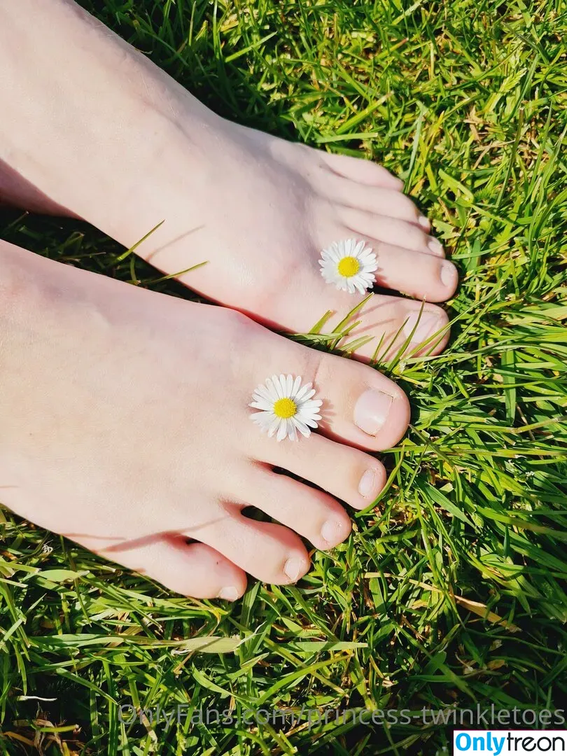 princess-twinkletoes nude photo #0004 (_princesstwinkletoes_)