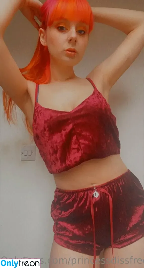 princessdissfree nude photo #0014 (princessdissfree)