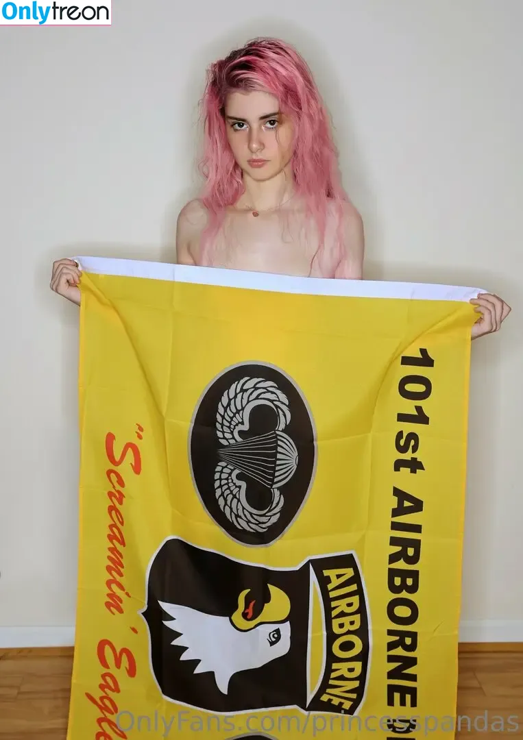 princesspandas голая photo #0018 (princesspandas_)