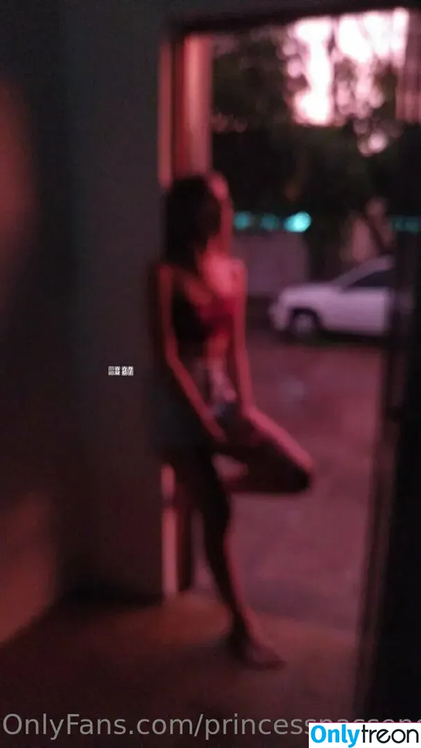 princesspassengerr nude photo #0021 (princesspassengerr)