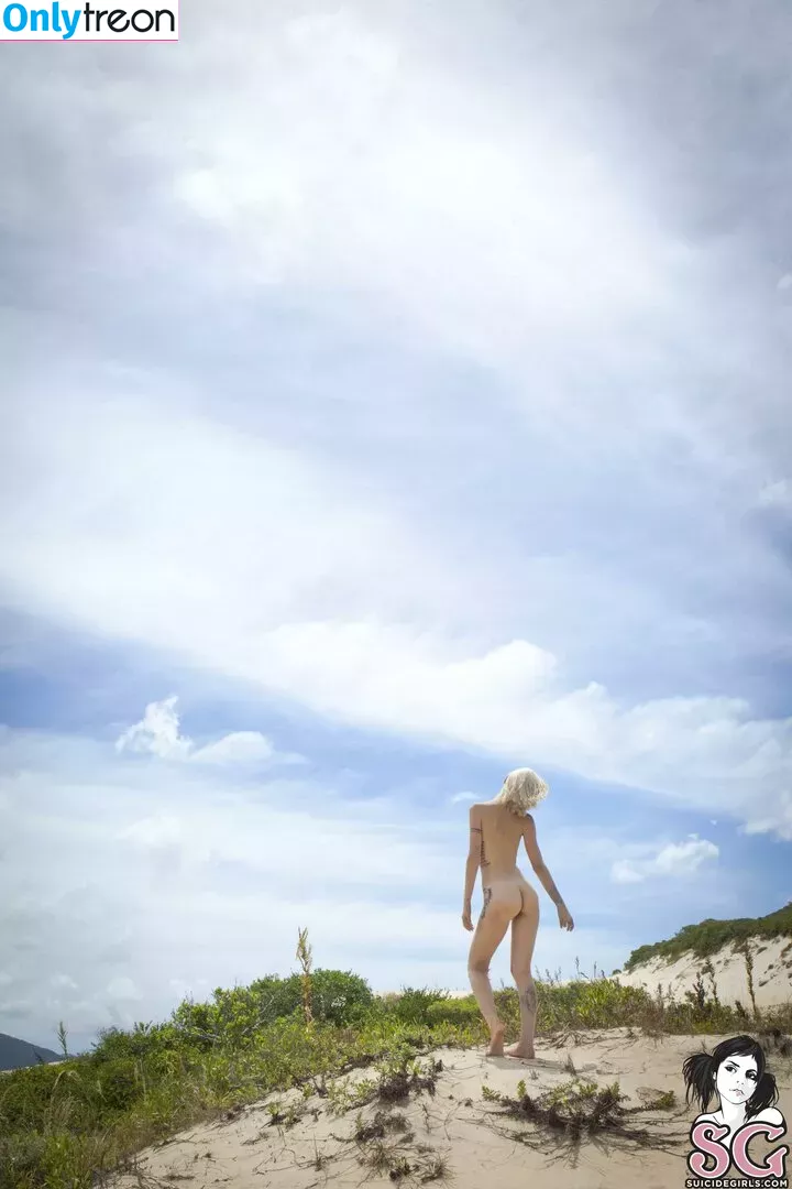 Priscilla D'Ávila Machado голая photo #0151 (zoofficial)