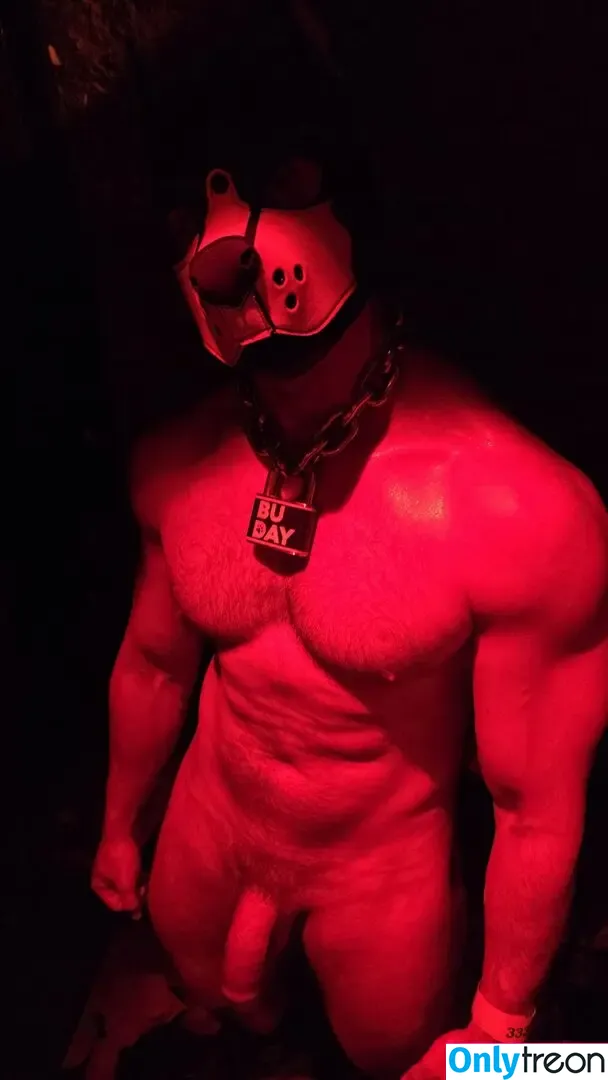 pupbuday nude photo #0118 (pup_buday)