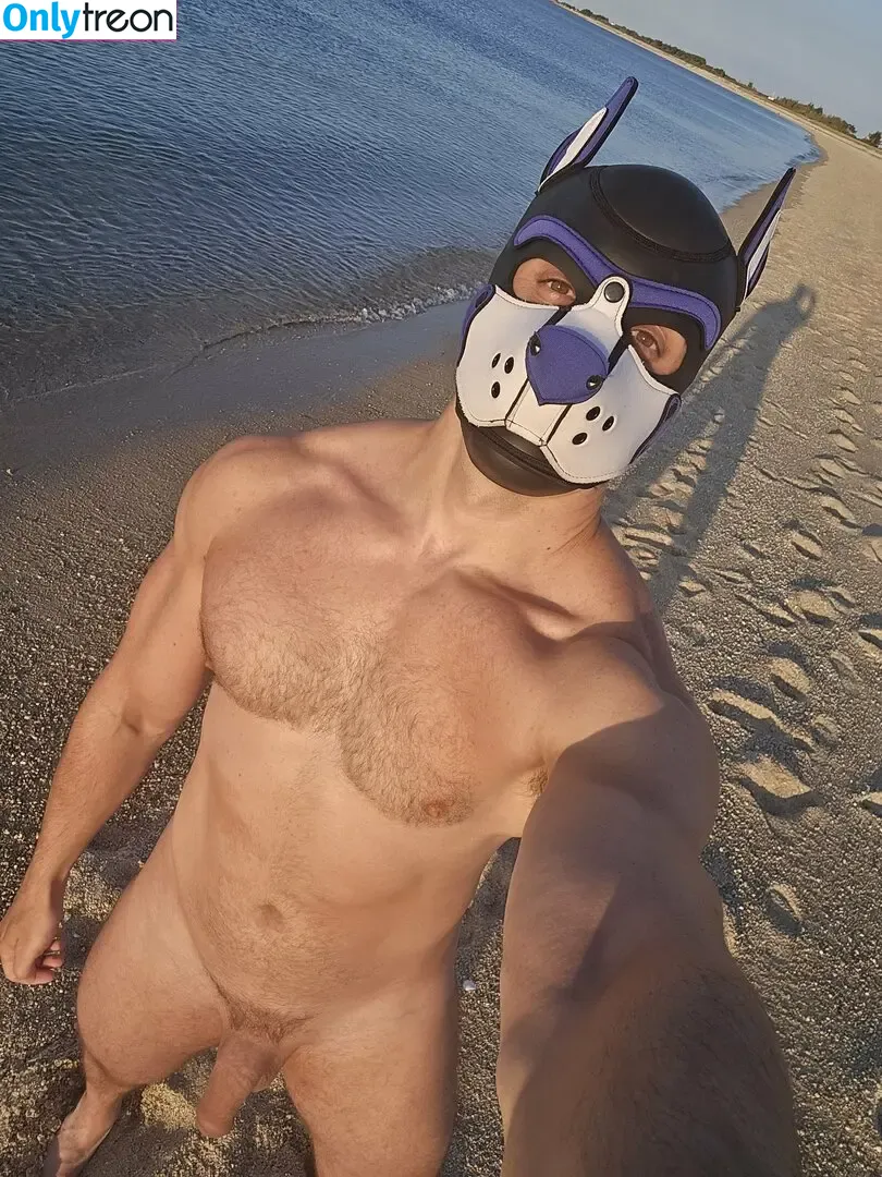 pupbuday nude photo #0122 (pup_buday)