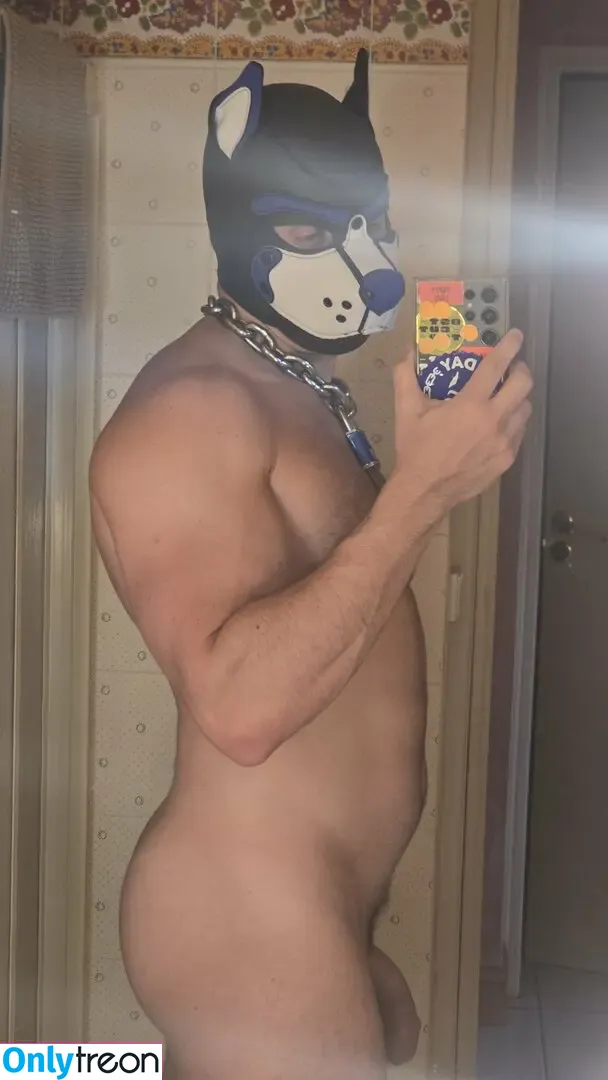 pupbuday nude photo #0123 (pup_buday)