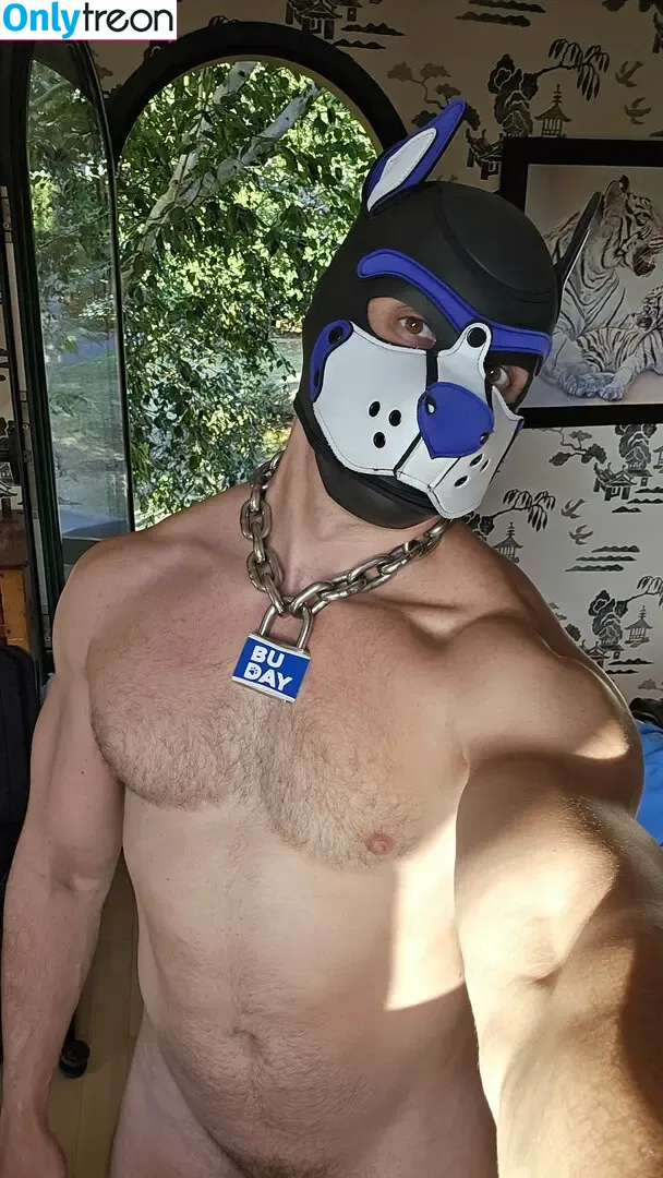 pupbuday nude photo #0129 (pup_buday)