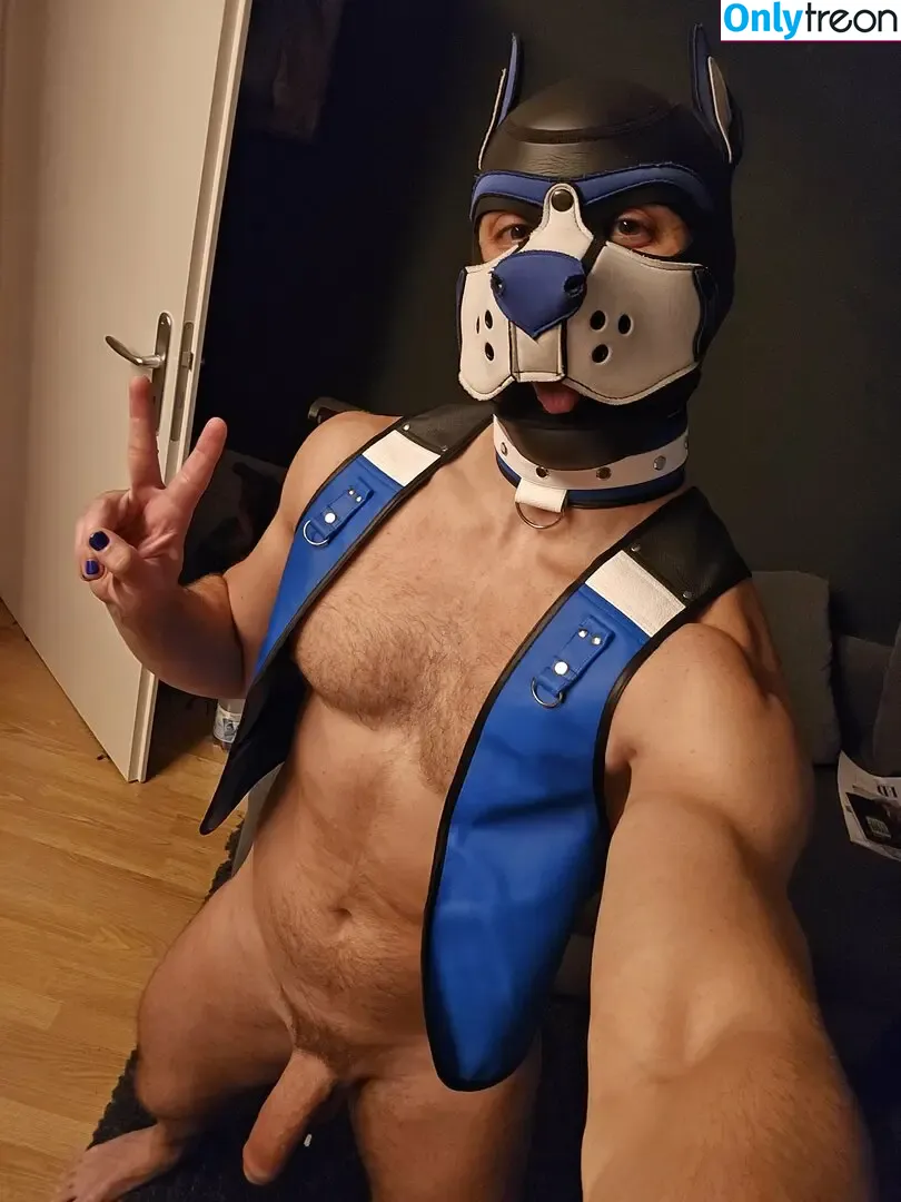 pupbuday nude photo #0136 (pup_buday)