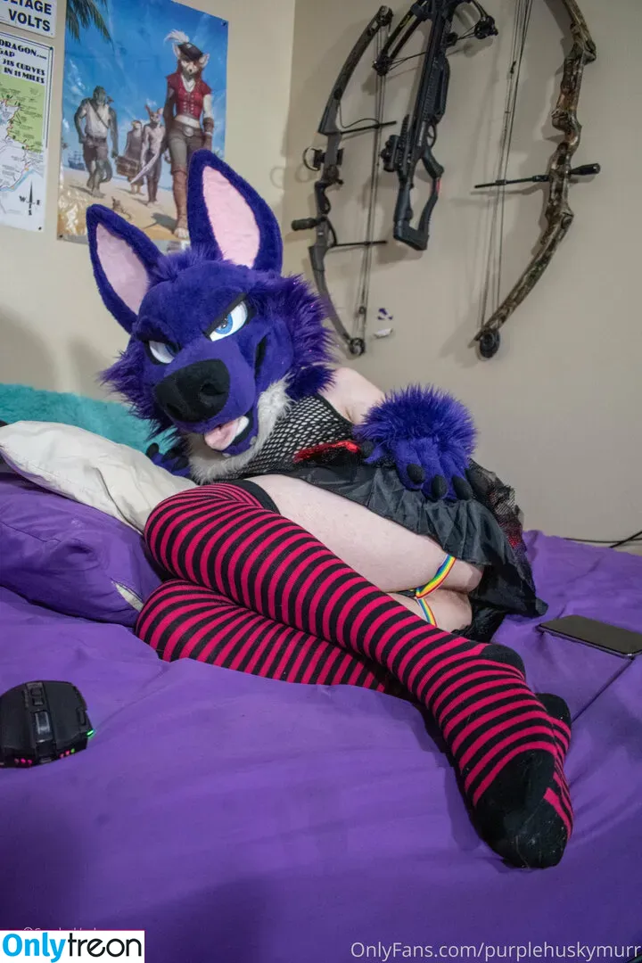 purplehuskymurr голая photo #0019 (purplehusky)