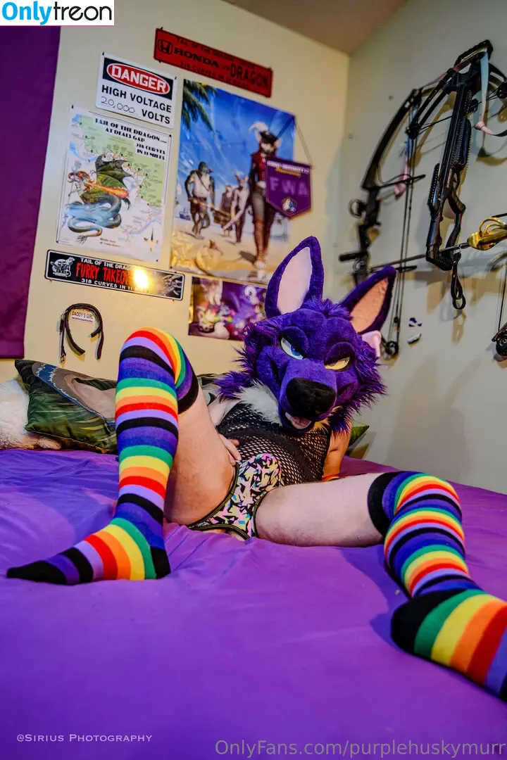 purplehuskymurr nude photo #0031 (purplehusky)