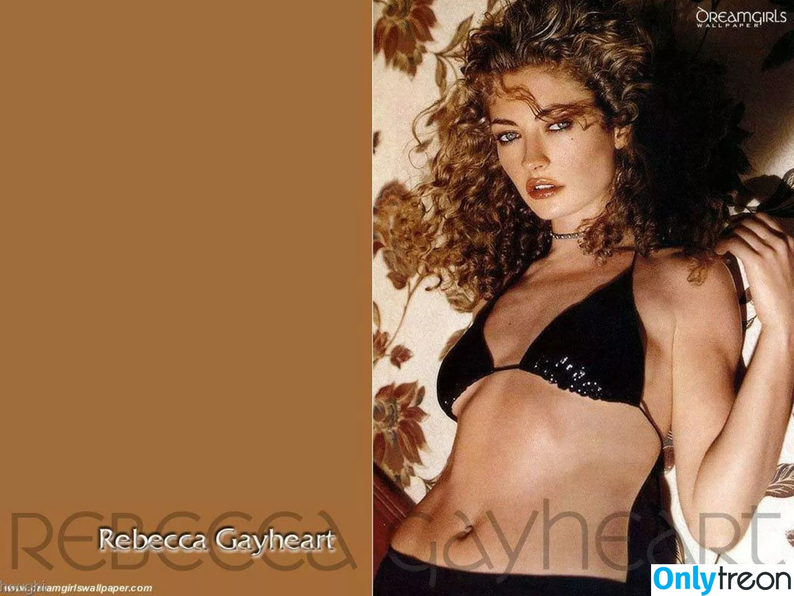 Rebecca Gayheart голая photo #0025 (rebeccagayheartdane)