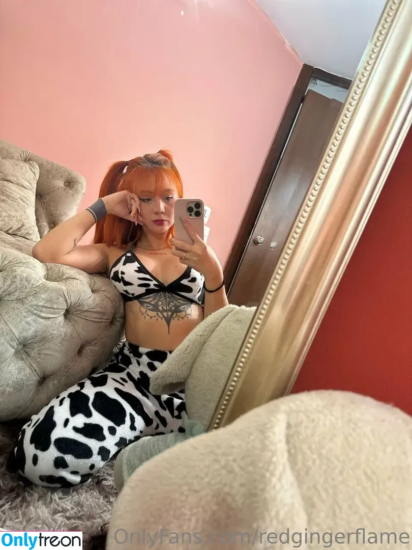 redgingerflame nude photo #0082 (redgingerfire)