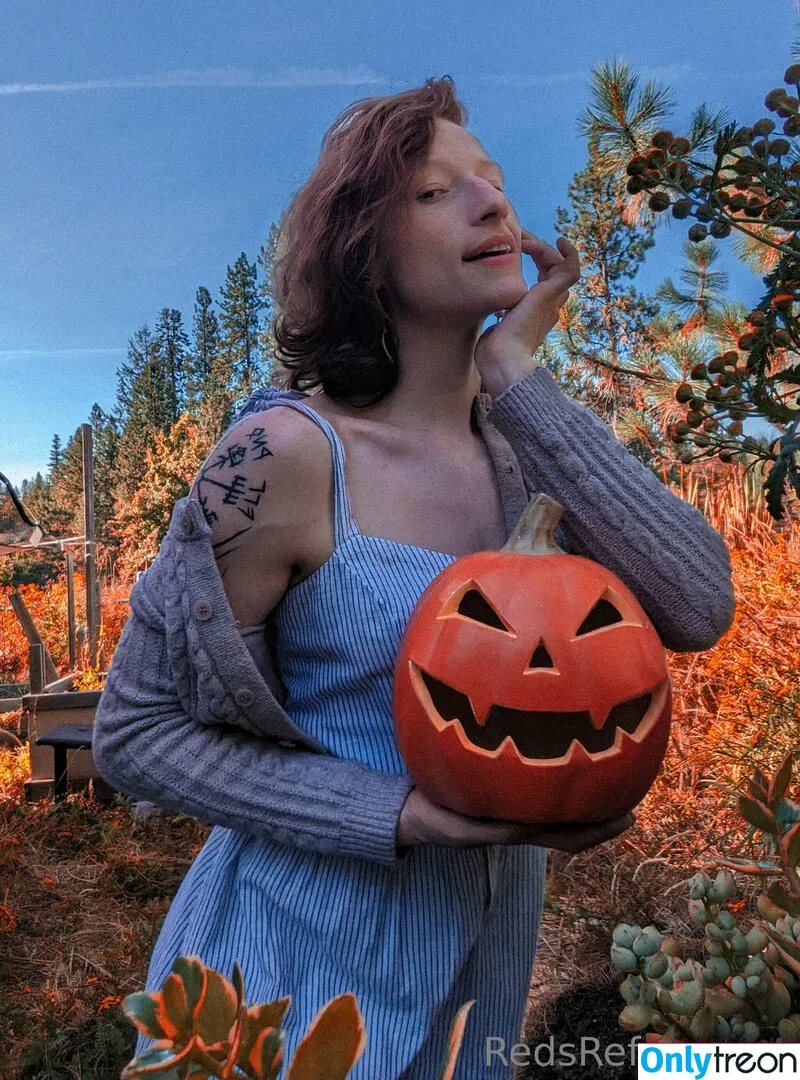 redsreferences голая photo #0138 (reddoodlesart)