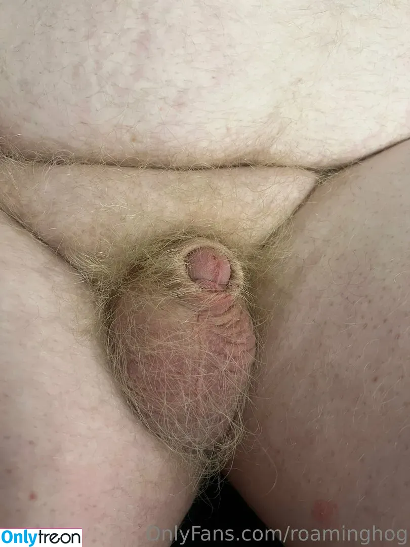 roaminghog nude photo #0125 (theroaminghog)