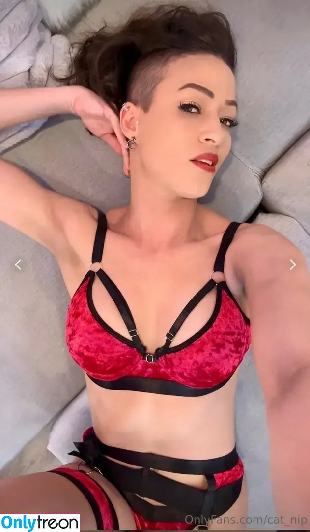 rocking_alopecia nude photo #0077 (cat_nip)