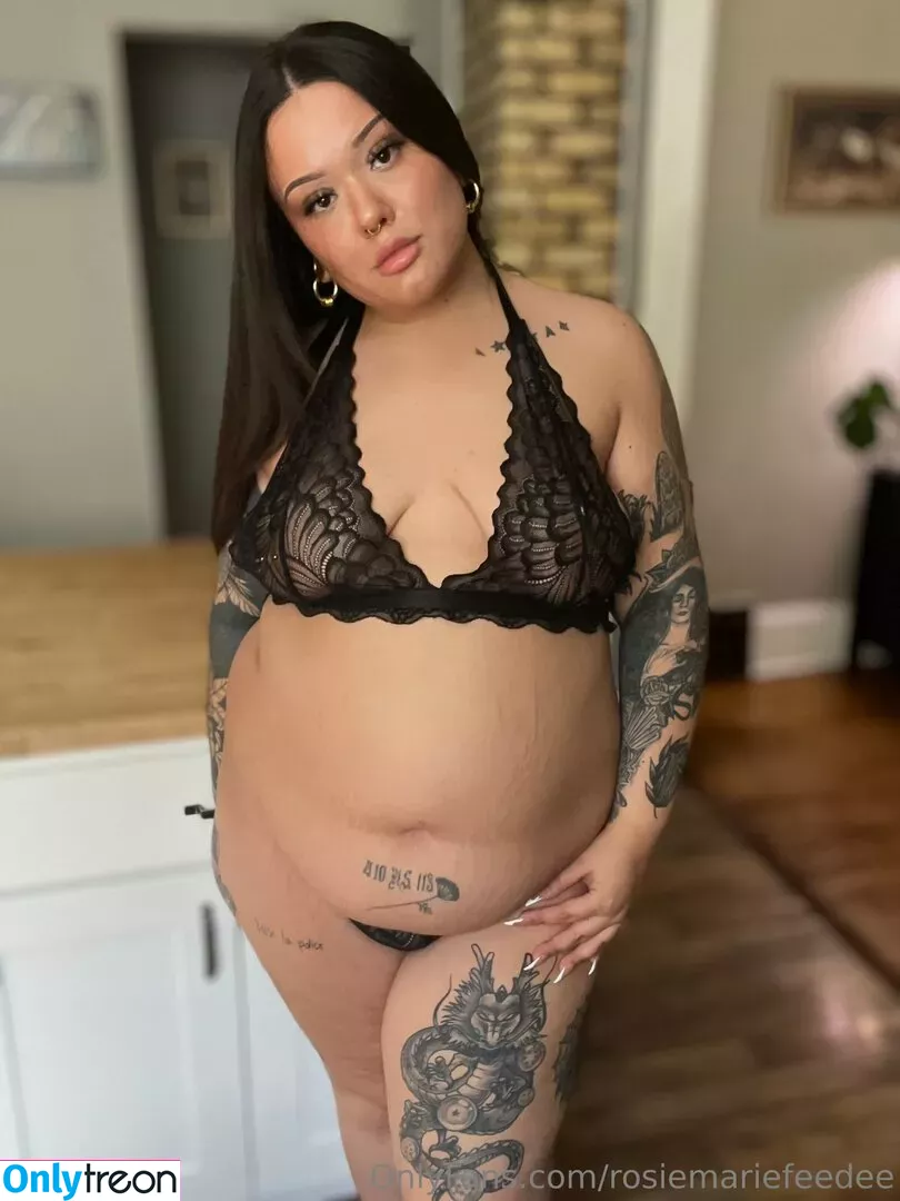 rosiemariefeedee nude photo #0132 (rosiemarie)