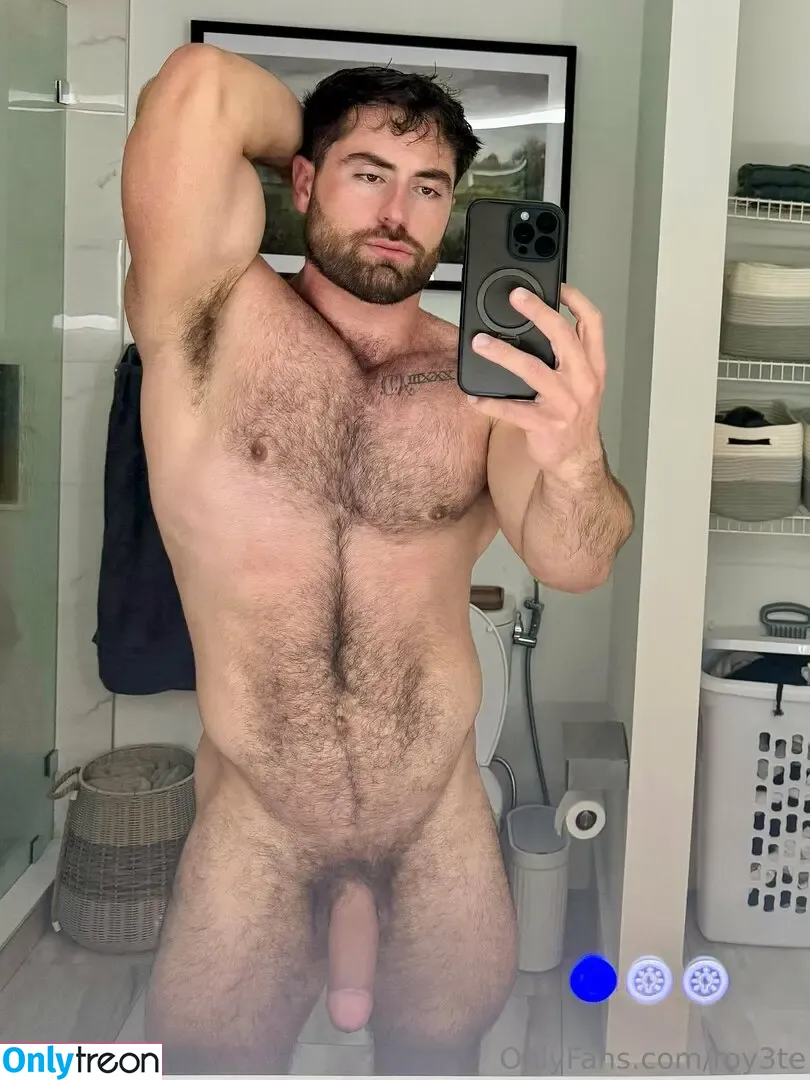 roy3te nude photo #0046 (roy3tev2)