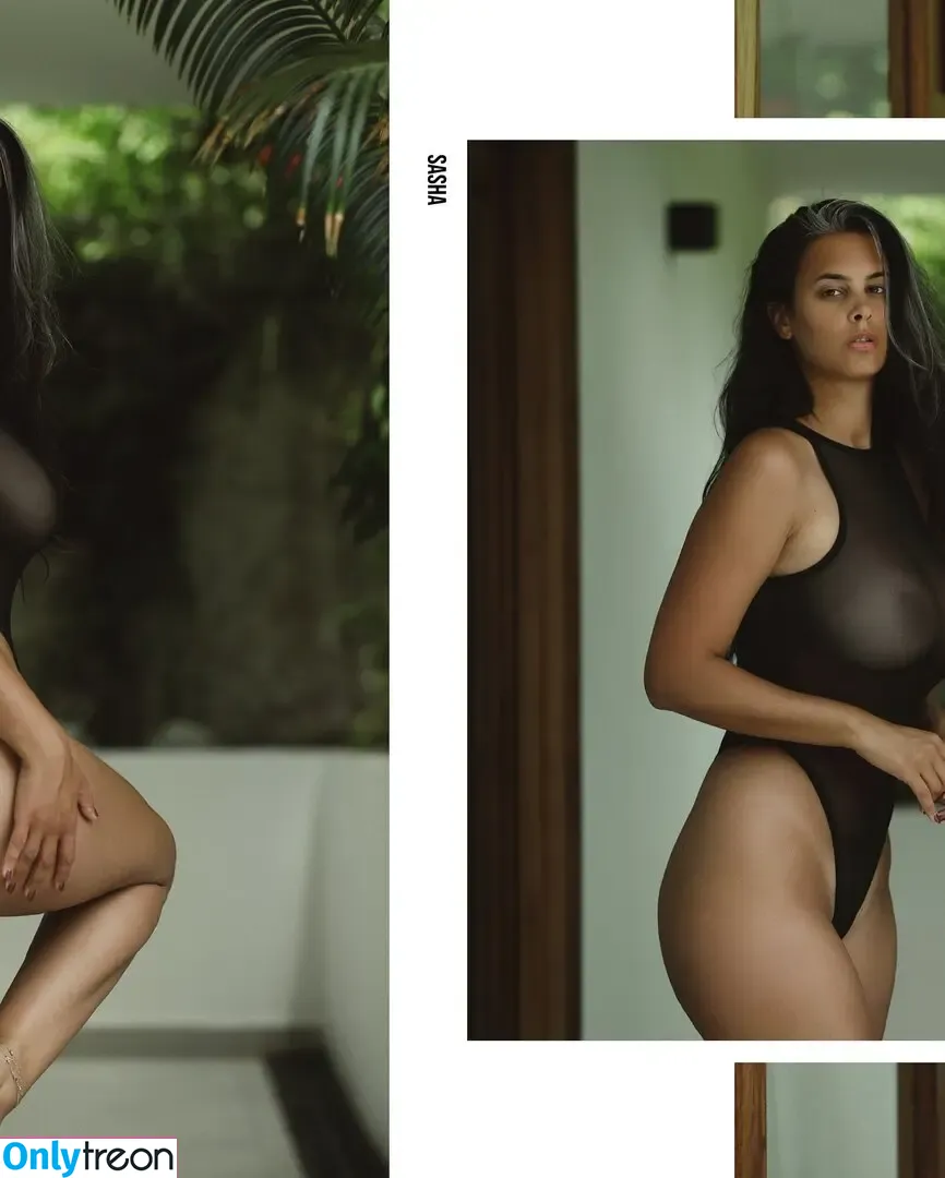 ___s.asha_ nude photo #0303 (__s.asha____ / _s.asha_ / s.asha / sasha ramirez / sashaswan / tistlarmuses)