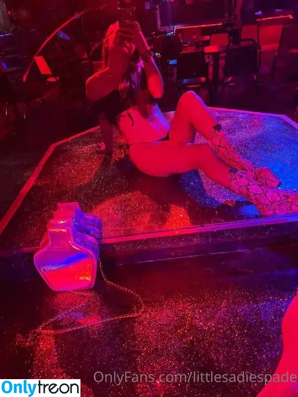 Sadie Spade VIP голая photo #0012 (itssaddddieeee / itssadievip)