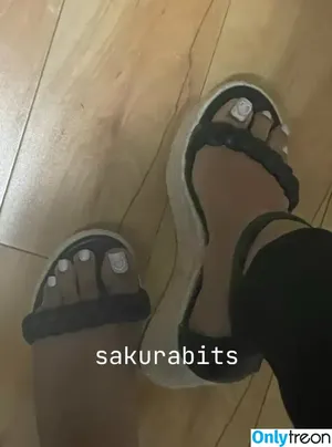 Sakurabits / Sanriosanx.exe / cherryblossombits / sakurabit фото голая #0024