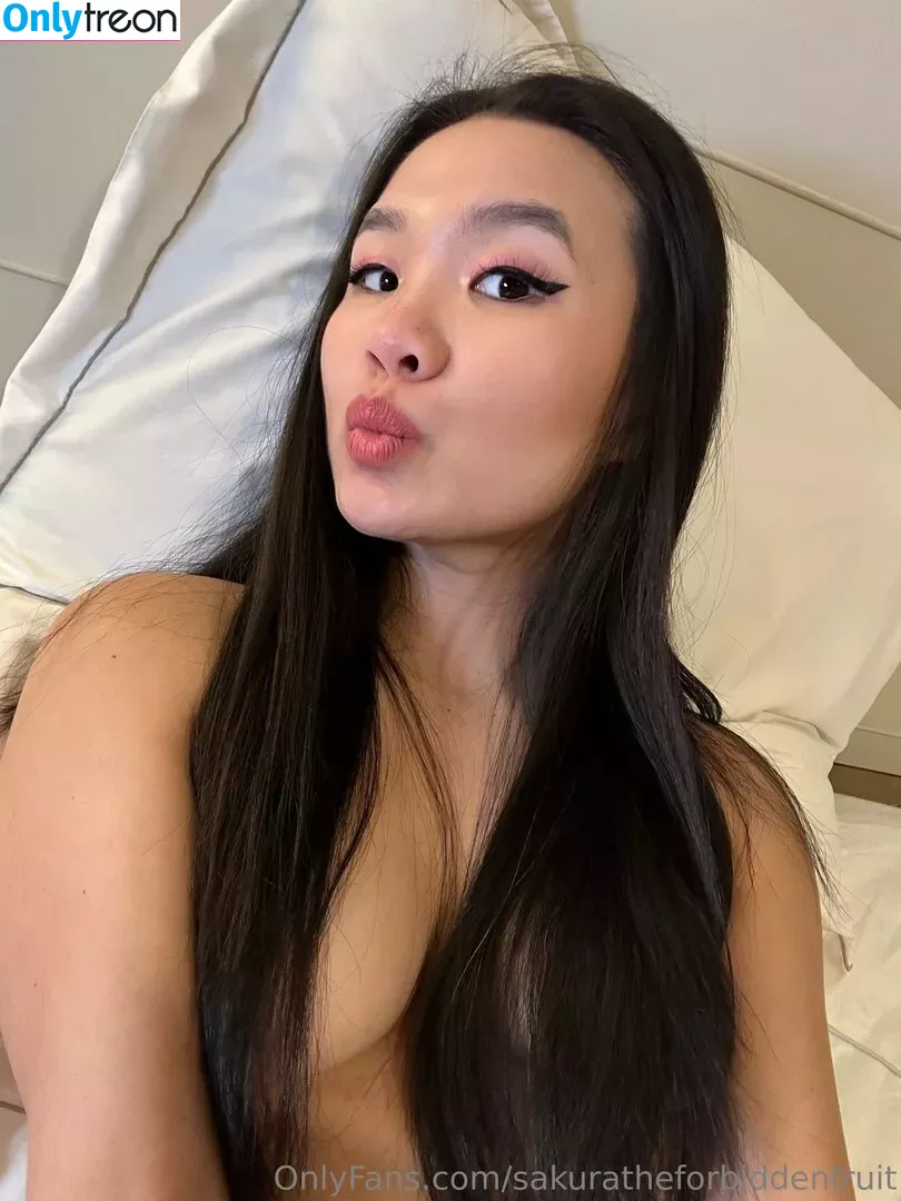 sakuratheforbiddenfruit nude photo #0350 (4bidden4ruit / zlightskin)