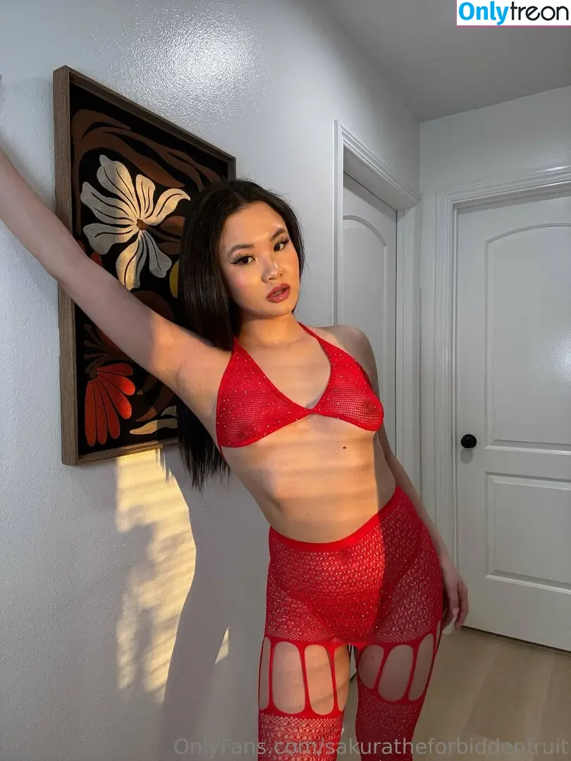 sakuratheforbiddenfruit nude photo #0513 (4bidden4ruit / zlightskin)