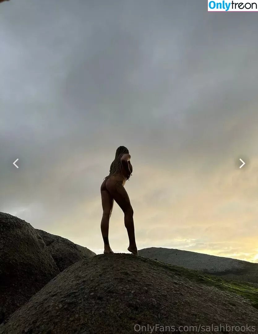 Salah Brooks nude photo #0057 (salah.brooks / salahbrooks)