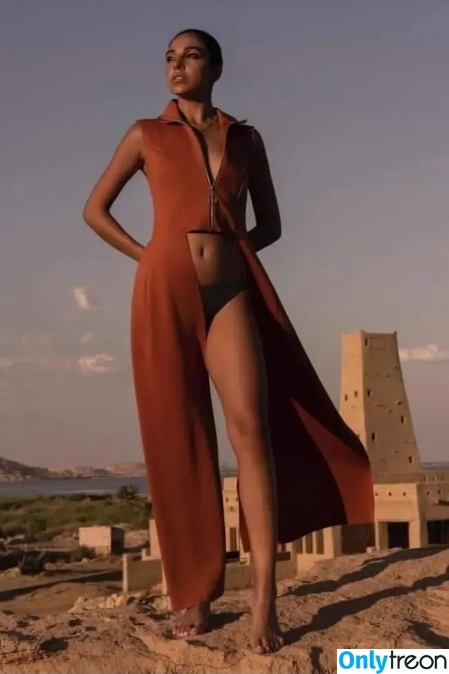Salma Abu Deif nude photo #0027 (salmaabudeif)