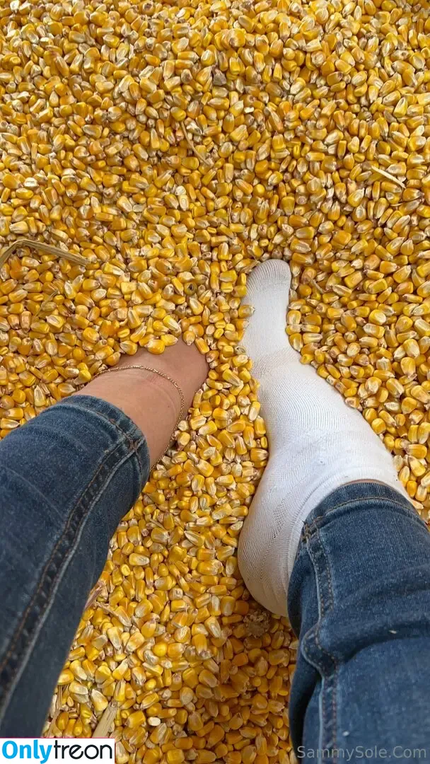 sammysole голая photo #0299 (sockittohim_)
