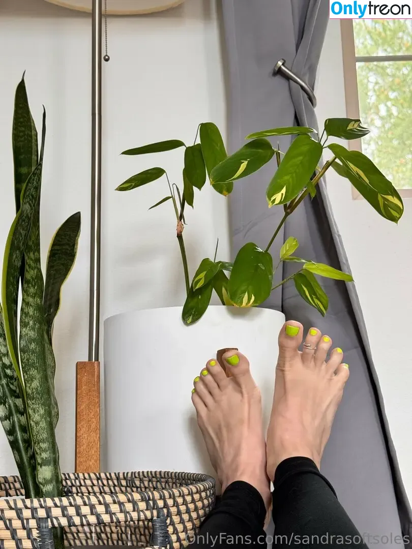 sandrasoftsoles nude photo #0094 (sandras.sole)