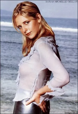 Sarah Michelle Gellar / sarahmgellar nude photo #0031